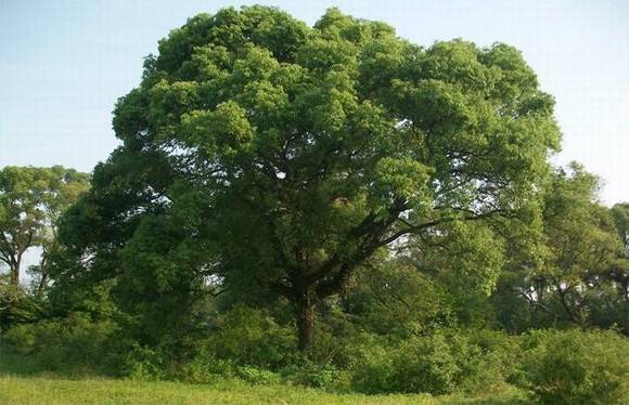 �����л�/����/�б�