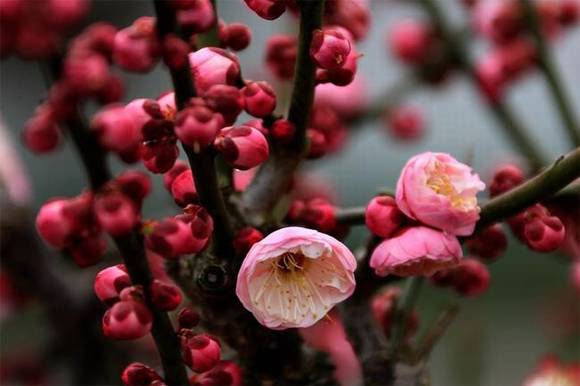 �����л�/����