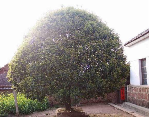 �����л�/����