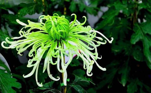 ��ͨ�л�/����