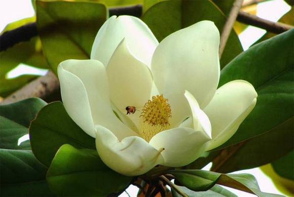 ��ͨ�л�/����