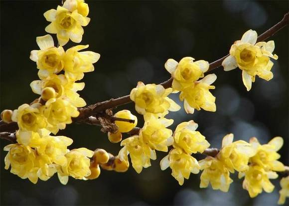 ���л�/����