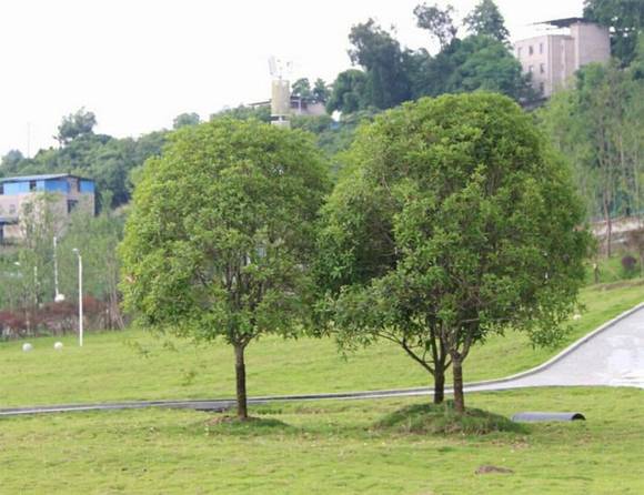 �����л�/����