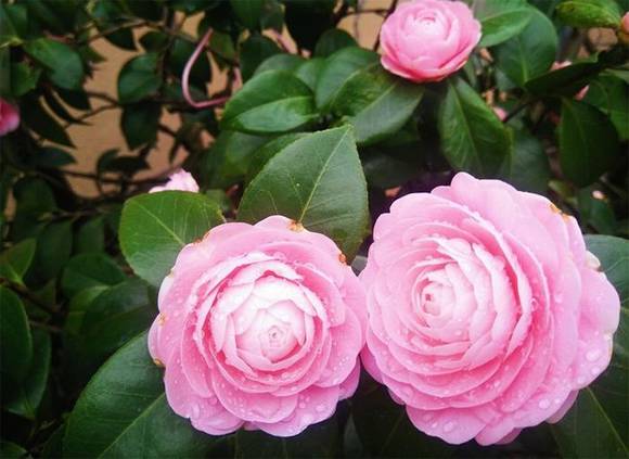 ���л�/����