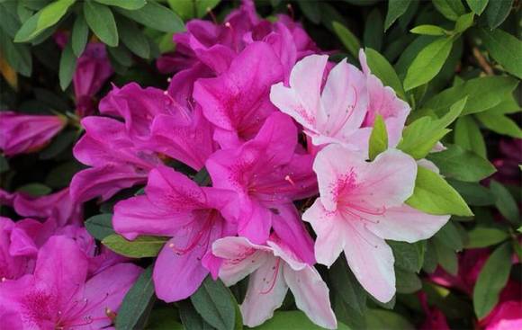 �����л�/����