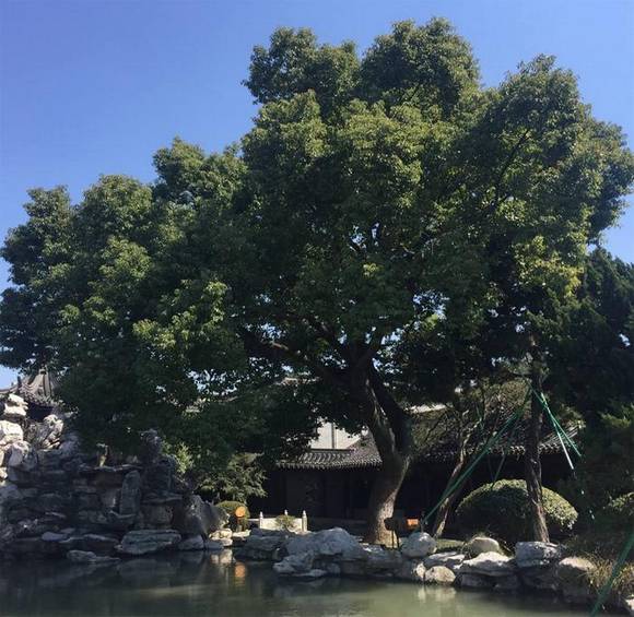 �����л�/����