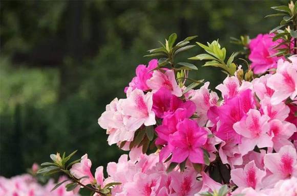 ��Ҧ�л�/����/�й�