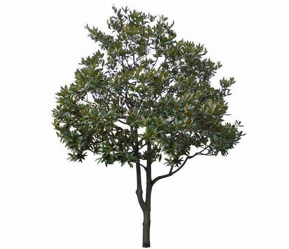 ��Ҧ�л�/����/�й�