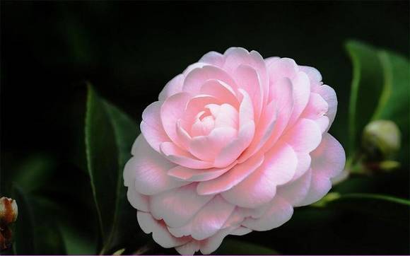 �����л�/����