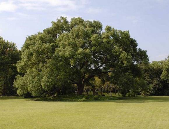 �����л�/����