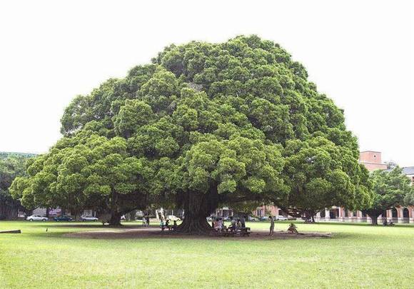 �����л�/����/�й�