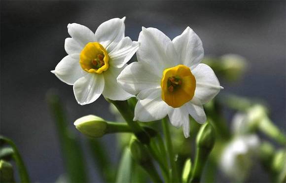 �����л�/����