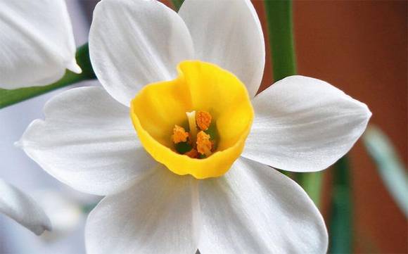 �����л�/����