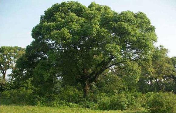 �����л�/����