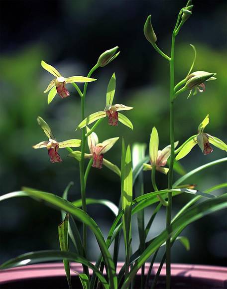 �����л�/����