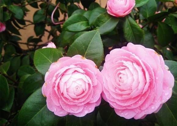 �����л�/����