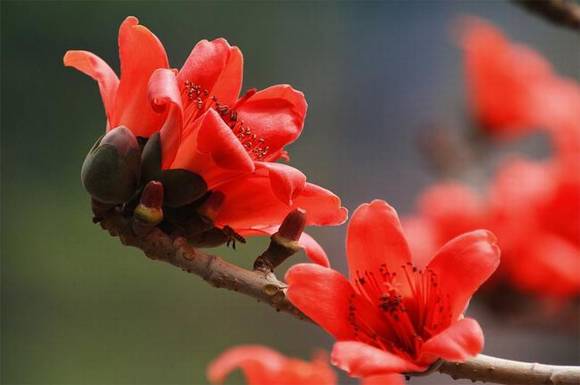 �����л�/����/����