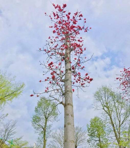 �����л�/����/����