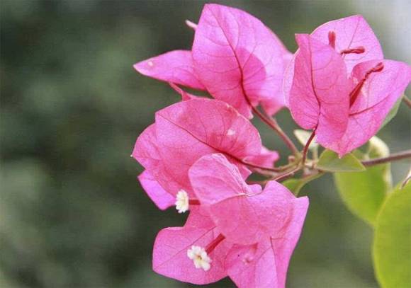 �����л�/����