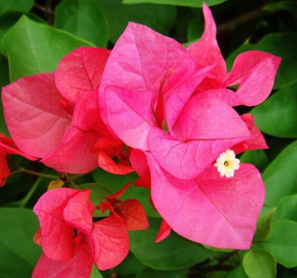 �麣�л�/����/����