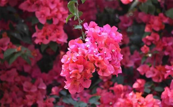 �����л�/����/����