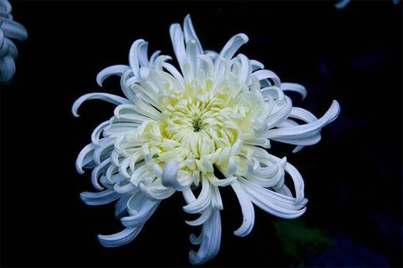 ��ɽ�л�/����