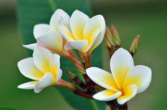 �����л�