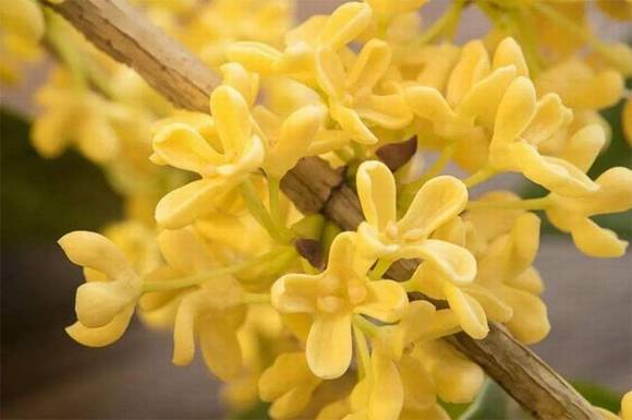 �����л�/����