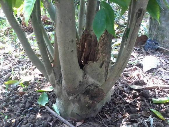 ��¡�л�/����/����