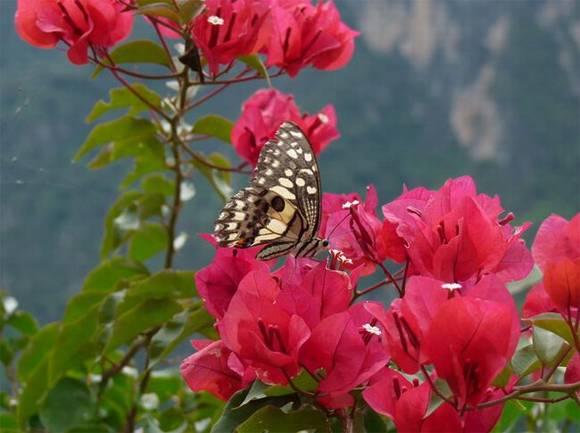 �����л�/����/����/�б�