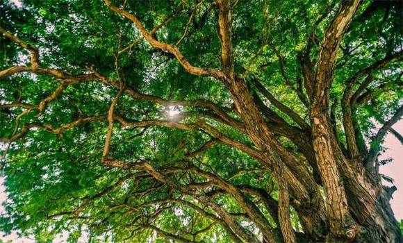 �����л�/����/����/�б�