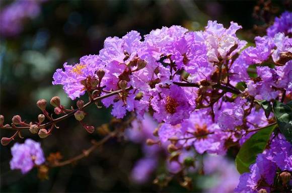 ��¡�л�/����/����