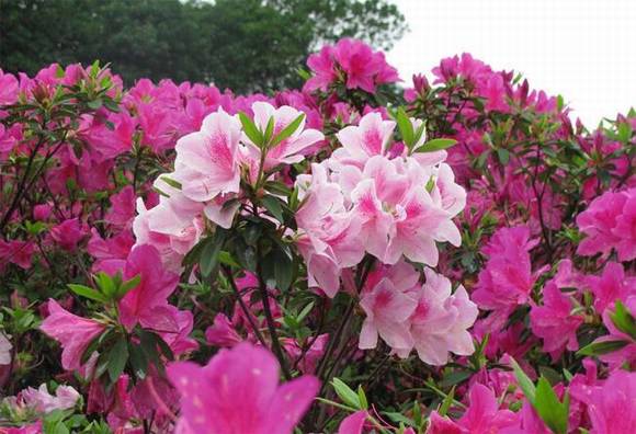 ̨���л�/����/����