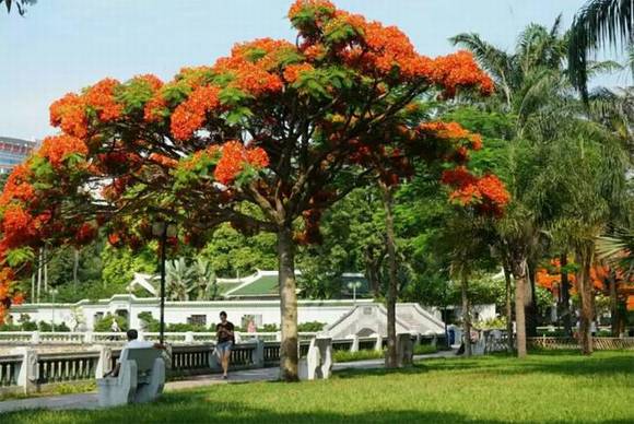 ̨���л�/����/����