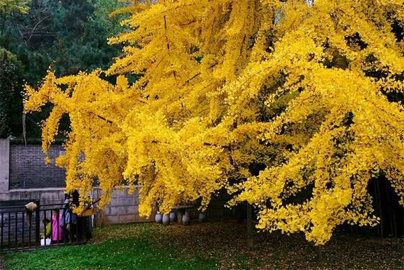 �ɶ��л�/����