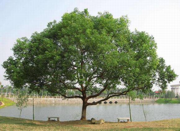 �Թ��л�/����/�л�