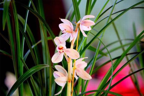 �����л�/����