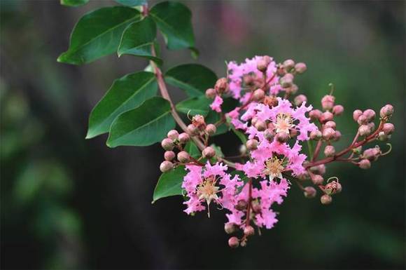 �����л�/����