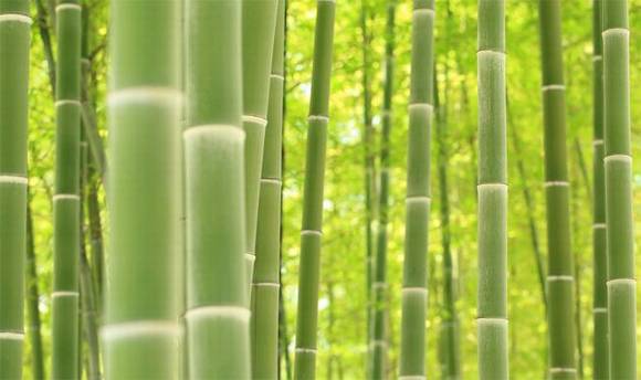 �����л�/����