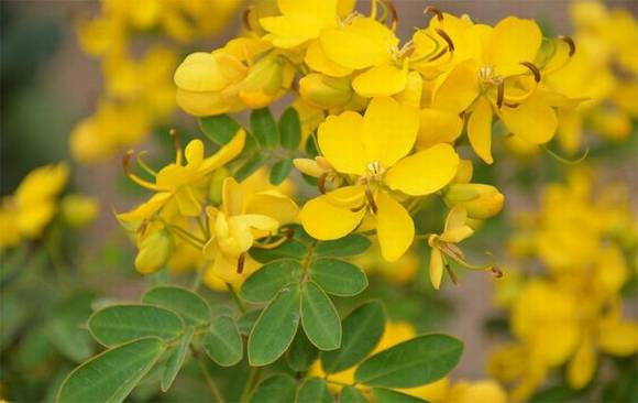 ���ɹ�������ʡ��