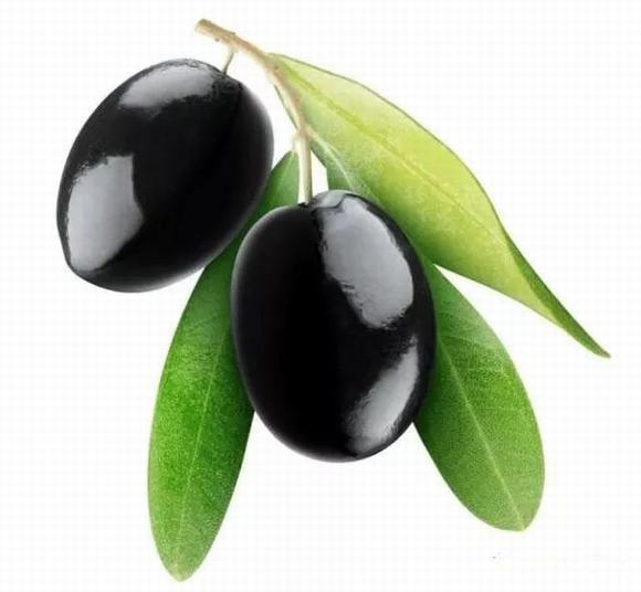 烤酒技术之橄榄酒有什么功效