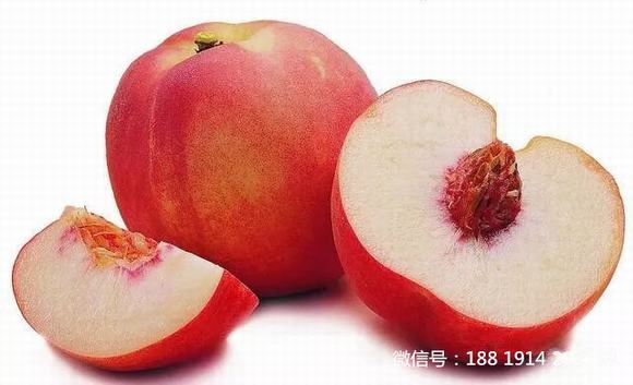 桃子酒的酿制方法