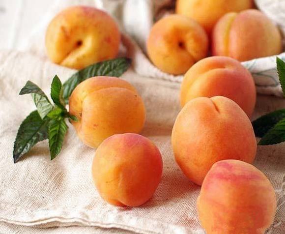 九种水果酒的酿制技术方法大分享