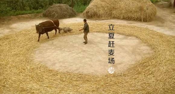 ��������ϰ��