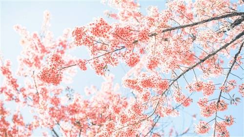 无锡导游词开头结尾