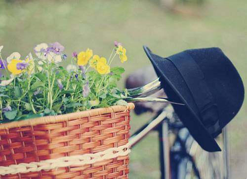 描写女子痴情的诗句