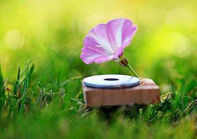 七月十五古诗七言