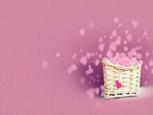 嘉兴绮园景区导游词