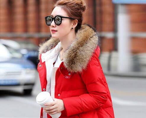 介绍春节英语导游词