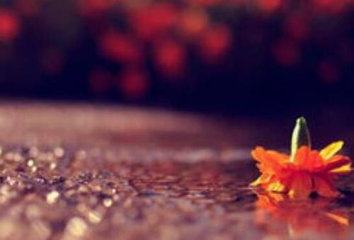 西安兵马文导游词